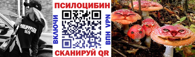 Псилоцибиновые грибы GOLDEN TEACHER  магазин продажи   Бородино 